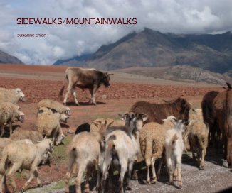 SIDEWALKS/MOUNTAINWALKS book cover