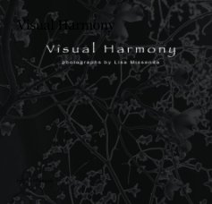 Visual Harmony book cover