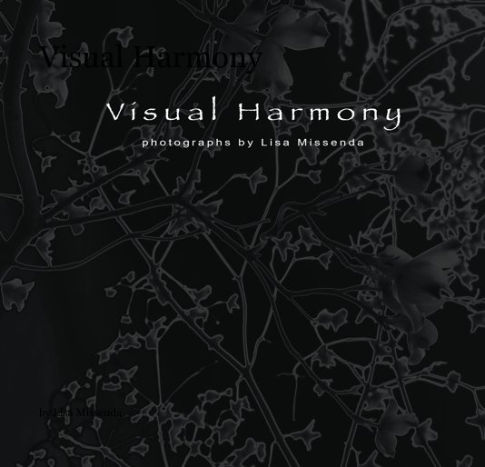 View Visual Harmony by Lisa Missenda