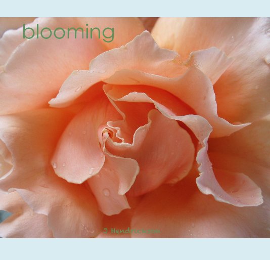 View blooming by J Hendrickson