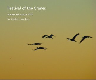 Festival of the Cranes book cover