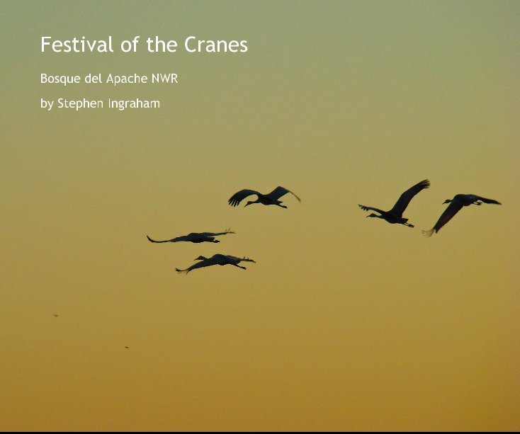 View Festival of the Cranes by Stephen Ingraham