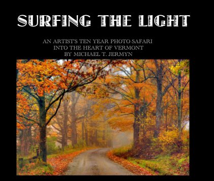 SURFING THE LIGHT book cover