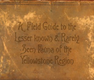 A Field Guide to the Lesser Known & Rarely Seen Fauna of the Yellowstone Region book cover