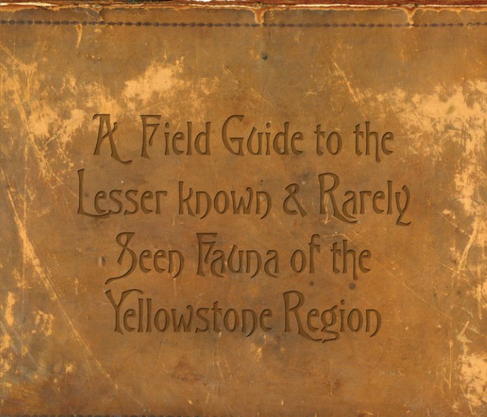 Ver A Field Guide to the Lesser Known & Rarely Seen Fauna of the Yellowstone Region por Timothy Chapman