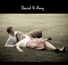 David & Amy book cover