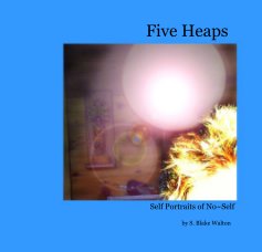 Five Heaps book cover