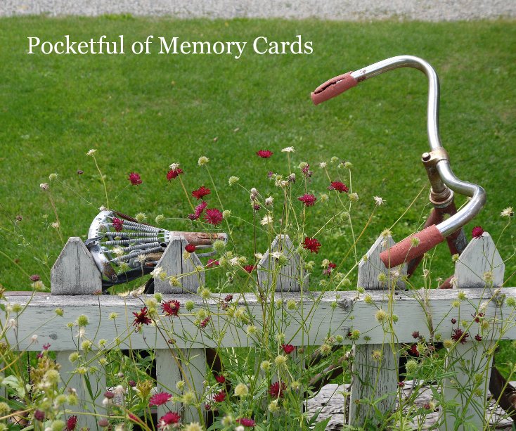 View Pocketful of Memory Cards by Suzan Wood-Young