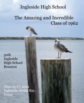 Ingleside High School The Amazing and Incredible Class of 1962 book cover
