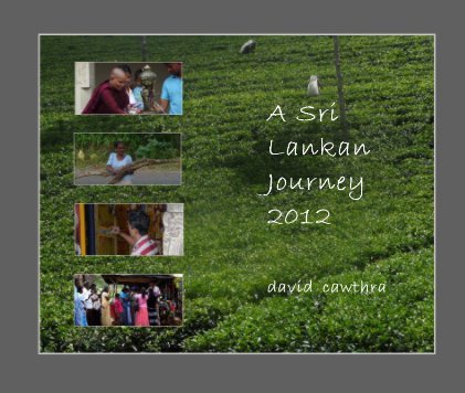 A Sri Lankan Interlude 2012 david cawthra book cover