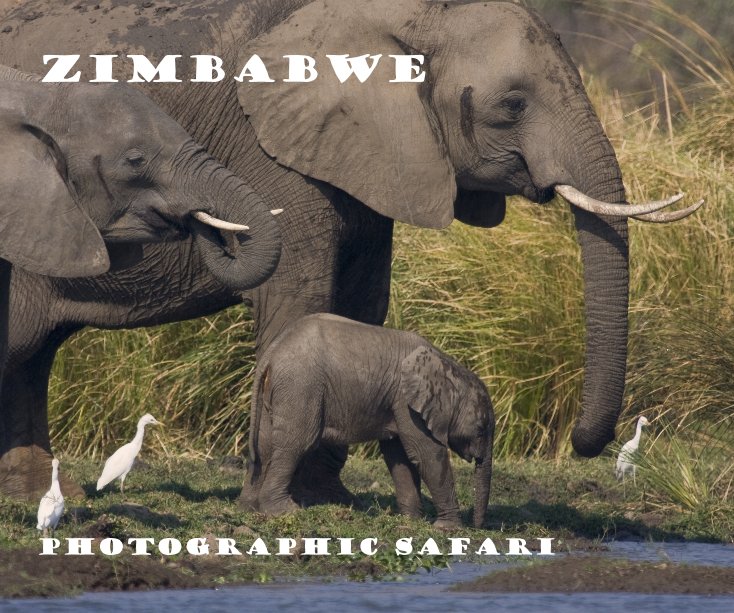 Ver ZIMBABWE photographic safari por Zimbabwe