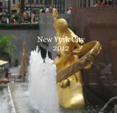New York City 2012 book cover