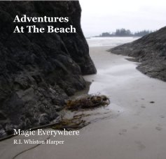 Adventures At The Beach book cover