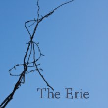 The Erie book cover