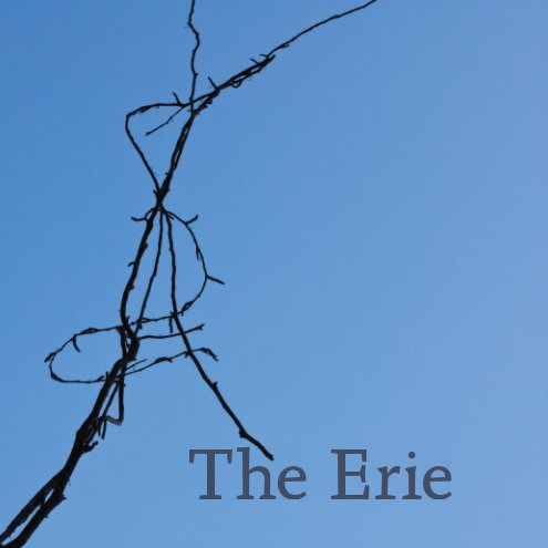 View The Erie by Mari Hulick and Mary Jo Toles