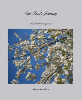 One Soul's Journey book cover