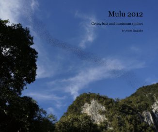 Mulu 2012 book cover