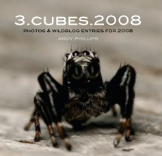 3.cubes.2008 book cover