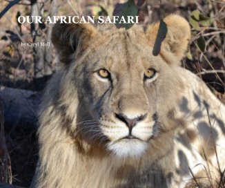 OUR AFRICAN SAFARI book cover