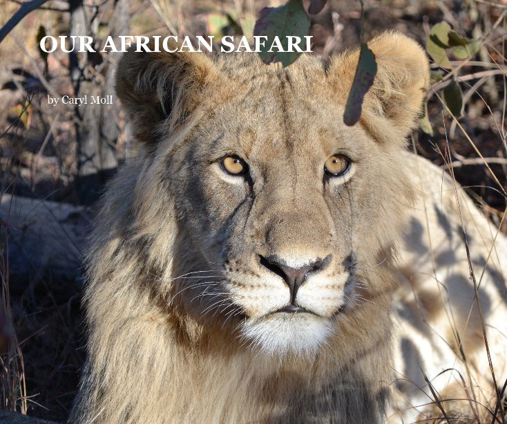 View OUR AFRICAN SAFARI by Caryl Moll