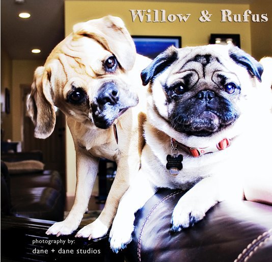 Ver Willow and Rufus por photography by J.Nichole Smith | www.dane-dane.com