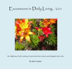 Excursions in Daily Living... Vol 4 book cover