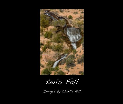 Ken's Fall book cover
