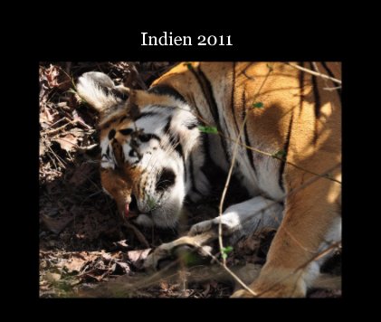 Indien 2011 book cover