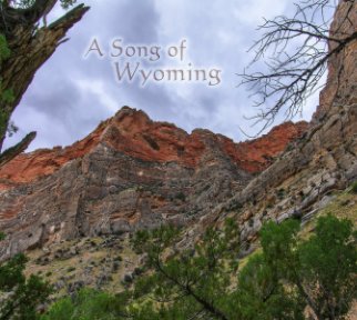 A Song of Wyoming book cover