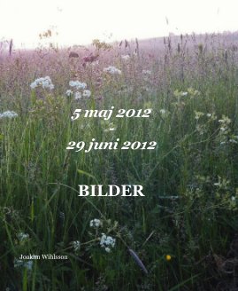 5 maj 2012 - 29 juni 2012 book cover