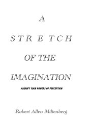 A S T R E T C H OF THE IMAGINATION book cover