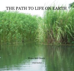 THE PATH TO LIFE ON EARTH book cover