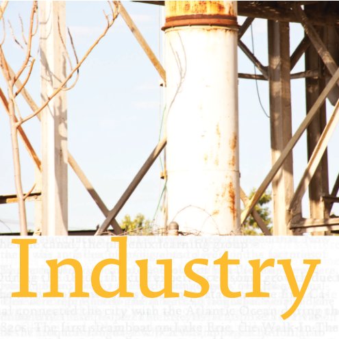 View Industry by Mari Hulick and Mary Jo Toles