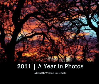 2011 | A Year in Photos book cover
