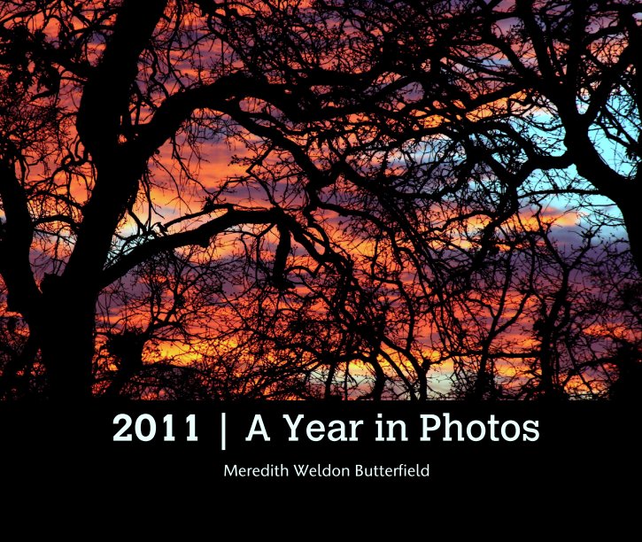 View 2011 | A Year in Photos by Meredith Weldon Butterfield