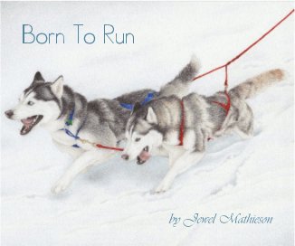 Born To Run book cover