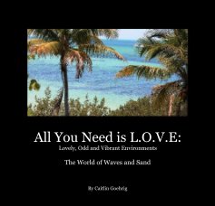 All You Need is L.O.V.E: Lovely, Odd and Vibrant Environments book cover