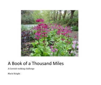 A Book of a Thousand Miles book cover