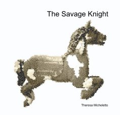 The Savage Knight book cover