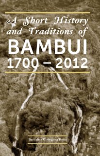 Bambui history book cover