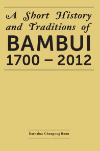 Bambui history book cover