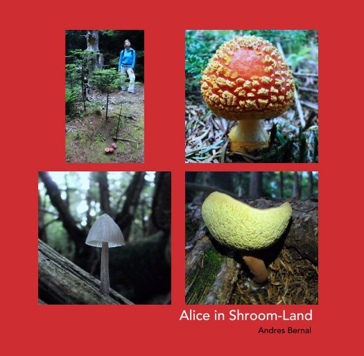 View Alice in Shroom-Land by Andres Bernal
