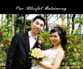Our Blissful Matrimony book cover