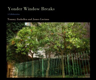 Yonder Window Breaks book cover