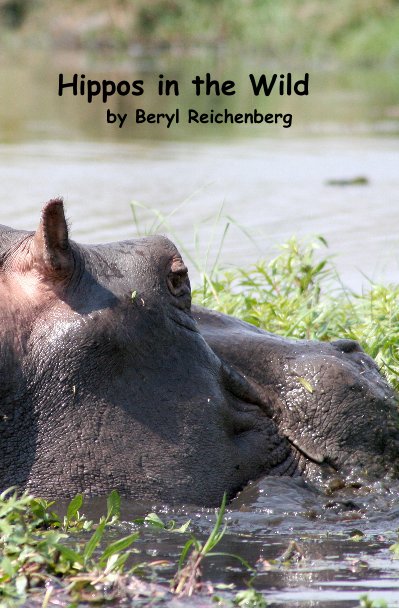 Ver Hippos in the Wild by Beryl Reichenberg por berylre