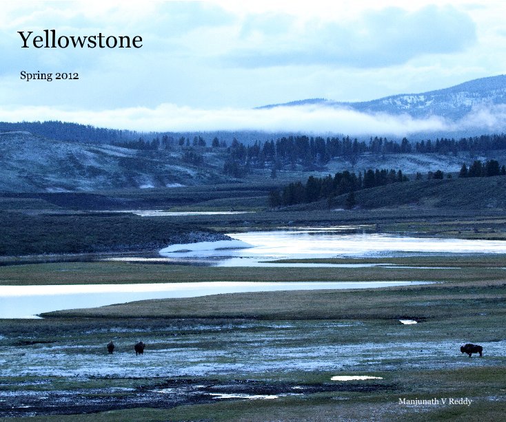 View Yellowstone by Manjunath V Reddy