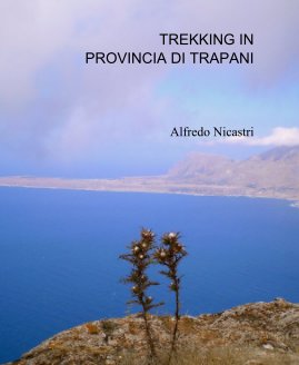 TREKKING IN PROVINCIA DI TRAPANI book cover