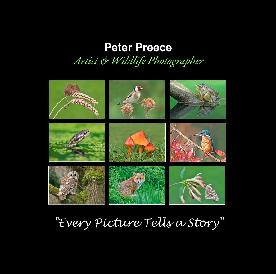 View Peter Preece Artist & Wildlife Photographer by "Every Picture Tells a Story"