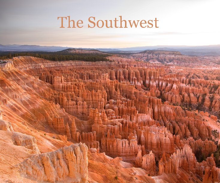 View The Southwest by Henrik W Andersen