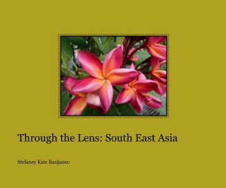 Through the Lens: South East Asia book cover